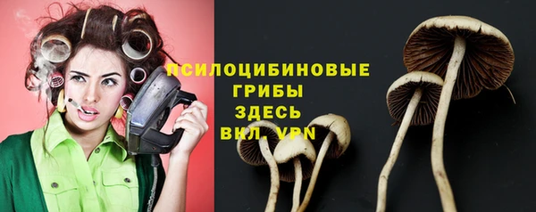 молекула духа Алексеевка