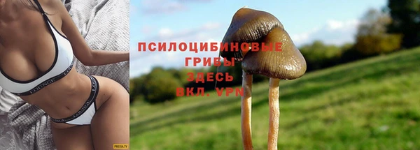 круглые Алексин