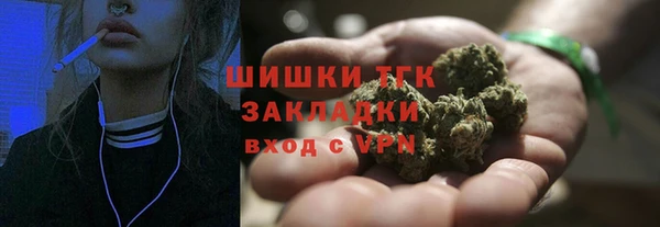 молекула духа Алексеевка