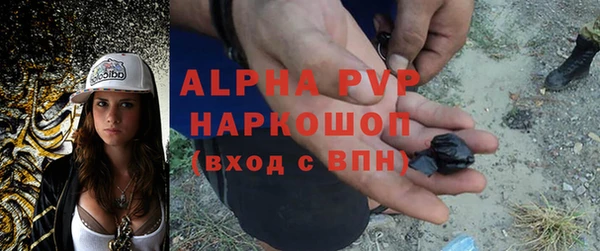 молекула духа Алексеевка