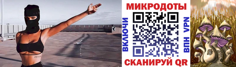 Псилоцибиновые грибы GOLDEN TEACHER  Купить закладки  Тайга 