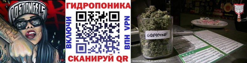 Купить где  Тайга  МАРИХУАНА планчик 